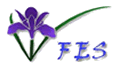 Flores de California
